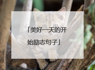美好一天的开始励志句子