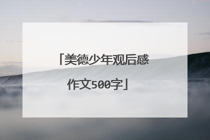 美德少年观后感作文500字