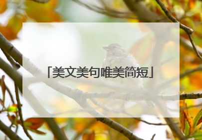 美文美句唯美简短