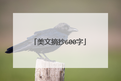 美文摘抄600字