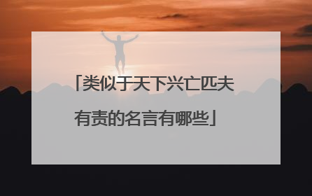 类似于天下兴亡匹夫有责的名言有哪些