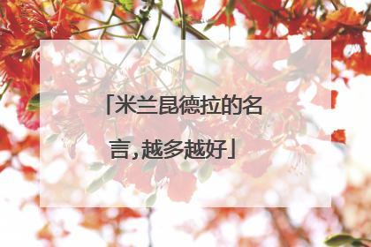 米兰昆德拉的名言,越多越好