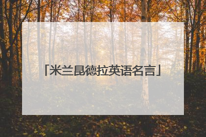 米兰昆德拉英语名言