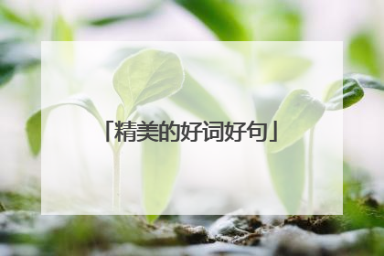 精美的好词好句