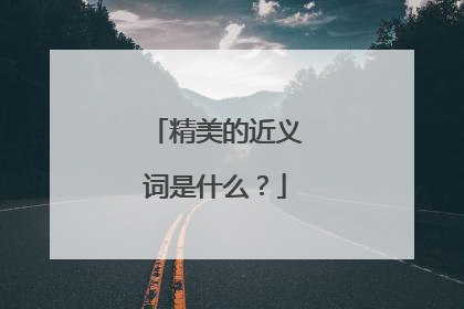 精美的近义词是什么？