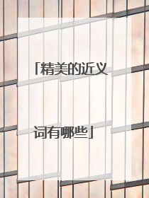 精美的近义词有哪些