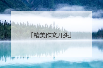 精美作文开头