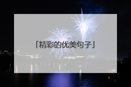 精彩的优美句子