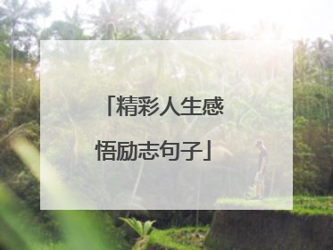 精彩人生感悟励志句子