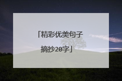 精彩优美句子摘抄20字