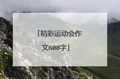 精彩运动会作文600字