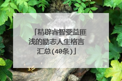 精辟睿智受益匪浅的励志人生格言汇总(40条)