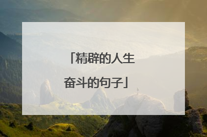 精辟的人生奋斗的句子