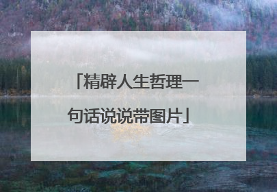 精辟人生哲理一句话说说带图片