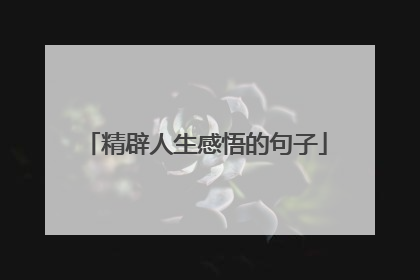 精辟人生感悟的句子