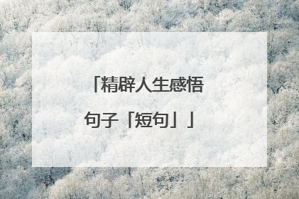 精辟人生感悟句子「短句」