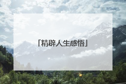 精辟人生感悟