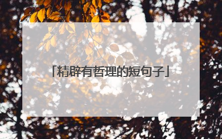 精辟有哲理的短句子