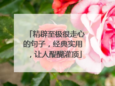 精辟至极很走心的句子，经典实用，让人醍醐灌顶