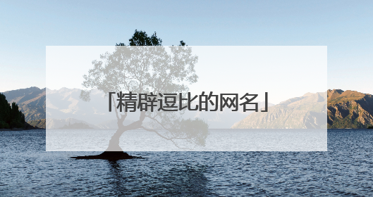 精辟逗比的网名