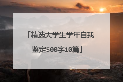 精选大学生学年自我鉴定500字10篇