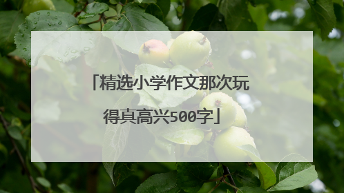 精选小学作文那次玩得真高兴500字