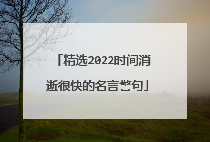 精选2022时间消逝很快的名言警句