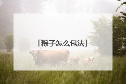 粽子怎么包法