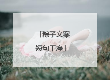 粽子文案短句干净