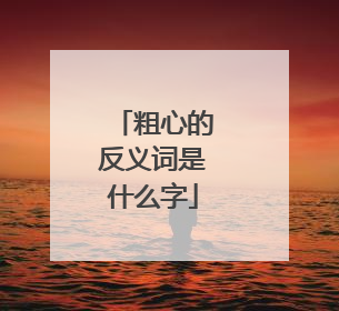 粗心的反义词是什么字