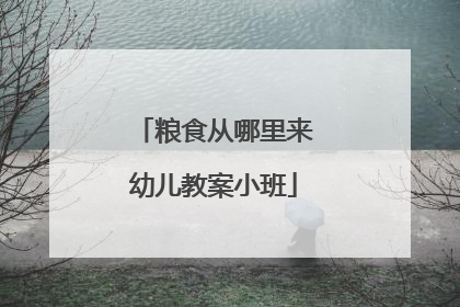 粮食从哪里来幼儿教案小班