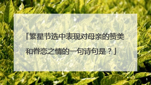 繁星节选中表现对母亲的赞美和眷恋之情的一句诗句是？
