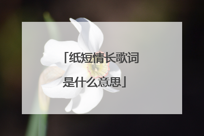 纸短情长歌词是什么意思