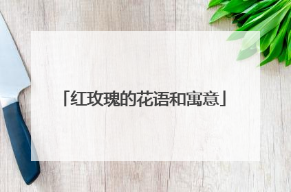 红玫瑰的花语和寓意