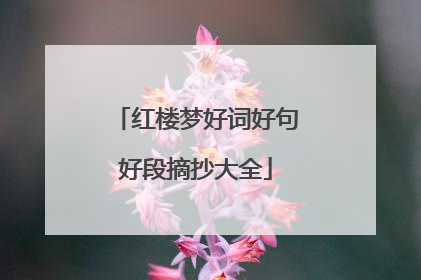 红楼梦好词好句好段摘抄大全