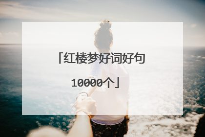 红楼梦好词好句10000个