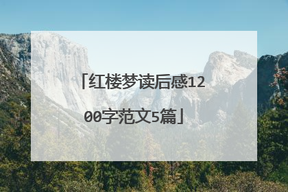 红楼梦读后感1200字范文5篇