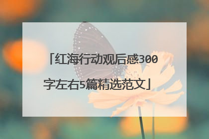 红海行动观后感300字左右5篇精选范文