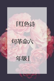 红色诗句革命六年级