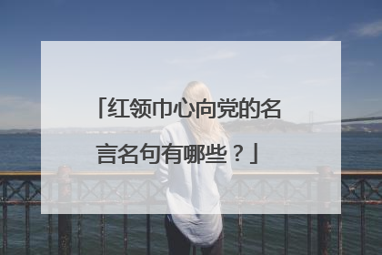 红领巾心向党的名言名句有哪些？