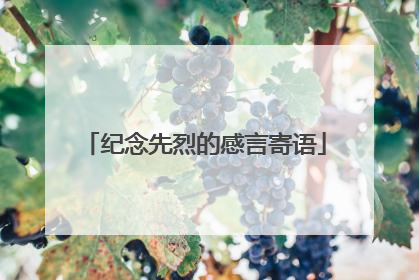 纪念先烈的感言寄语