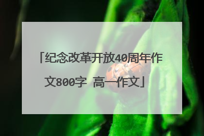 纪念改革开放40周年作文800字 高一作文
