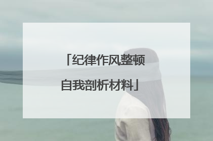 纪律作风整顿自我剖析材料