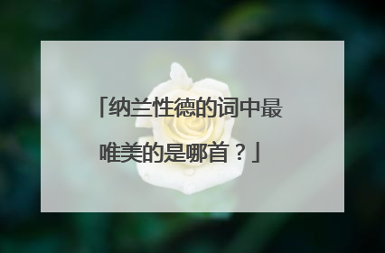 纳兰性德的词中最唯美的是哪首?