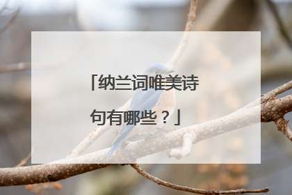 纳兰词唯美诗句有哪些？