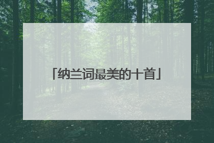 纳兰词最美的十首
