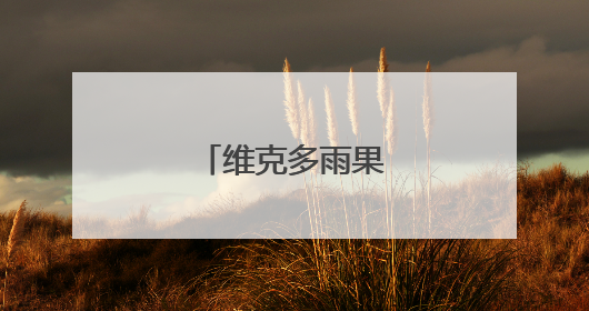 维克多雨果爱情名言
