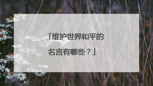 维护世界和平的名言有哪些?