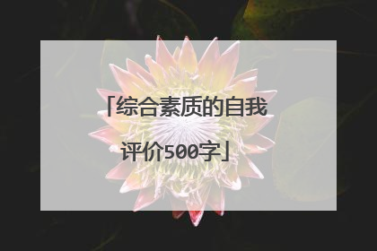 综合素质的自我评价500字