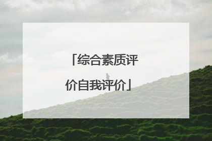 综合素质评价自我评价